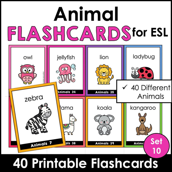 Animal Vocabulary Flash cards | ESL Task Cards - Zoo, Pets, Insects, Marine - Hot Chocolate Teachables