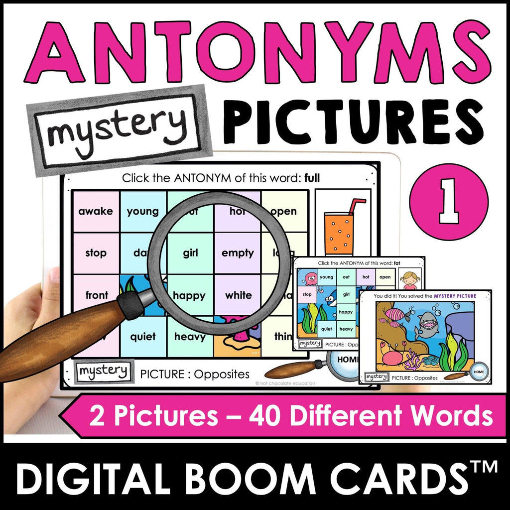 Antonym, Synonym, Homophone, Homonym Mystery Picture Boom Cards™ BUNDLE - Hot Chocolate Teachables